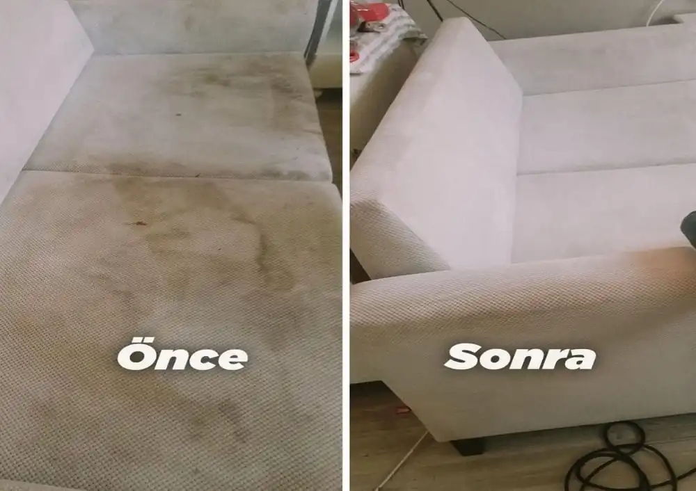 koltuk